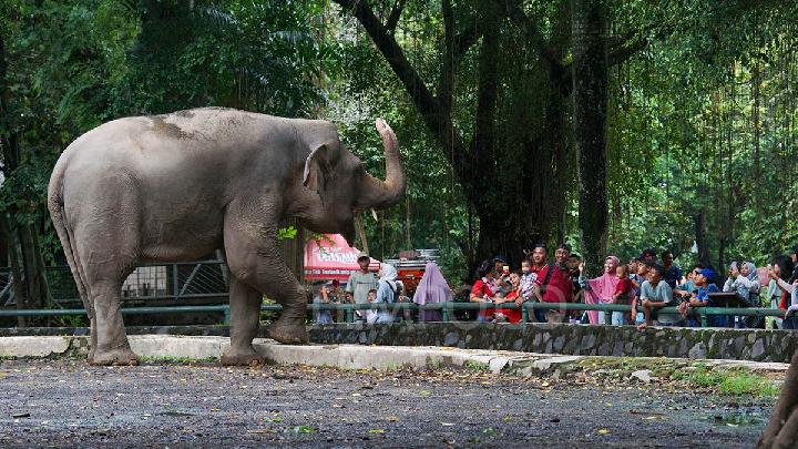 Ragunan