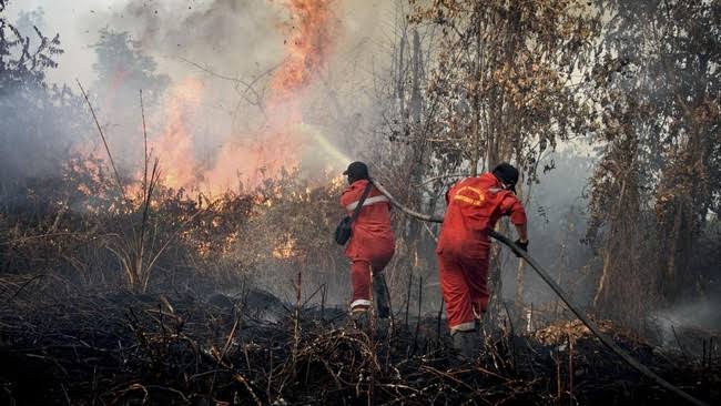 Kebakaran Hutan dan Lahan di Indonesia